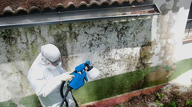 Top rated local Commercial Mold Remediation specialists in University Place, WA